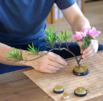 Stainless Steel Flower Frog Pin Holder Set, Round Metal Floral Arrangement Tool for Vases