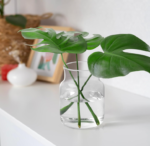 Clear Glass Flower Vase with Wide Mouth, Decorative Floral Vase for Home, Wedding and Table Centerpieces