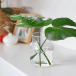 Clear Glass Flower Vase with Wide Mouth, Decorative Floral Vase for Home, Wedding and Table Centerpieces