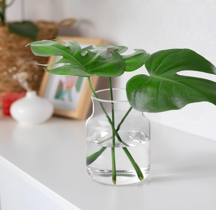 31.1 Clear Glass Flower Vase with Wide Mouth, Decorative Floral Vase for Home, Wedding and Table Centerpieces - Image 1