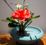 Flower Stem Holder Set, Metal Flower Frog Pins for Floral Arrangement and Vase Decoration - Image 2