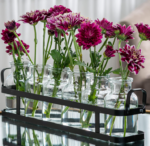Glass Flower Vase Set with Metal Holder, Modern Decorative Vases for Table, Shelf and Home Display