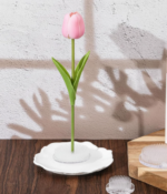 Plastic Flower Frog Pin Holder Set, Reusable Floral Arrangement Tools for Vase Decoration